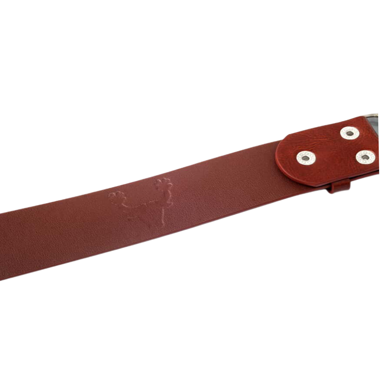 Belt-4-clover