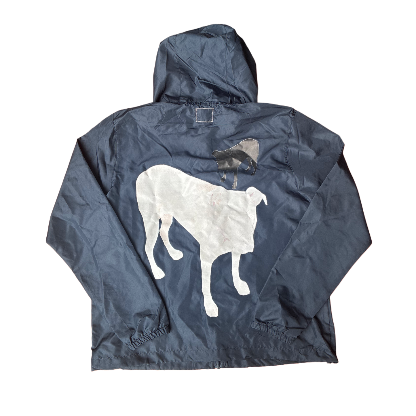 Pit bull windbreaker